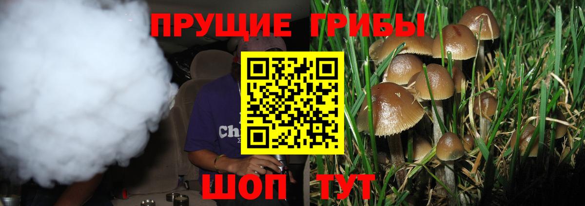 Псилоцибиновые грибы Magic Shrooms Долгопрудный