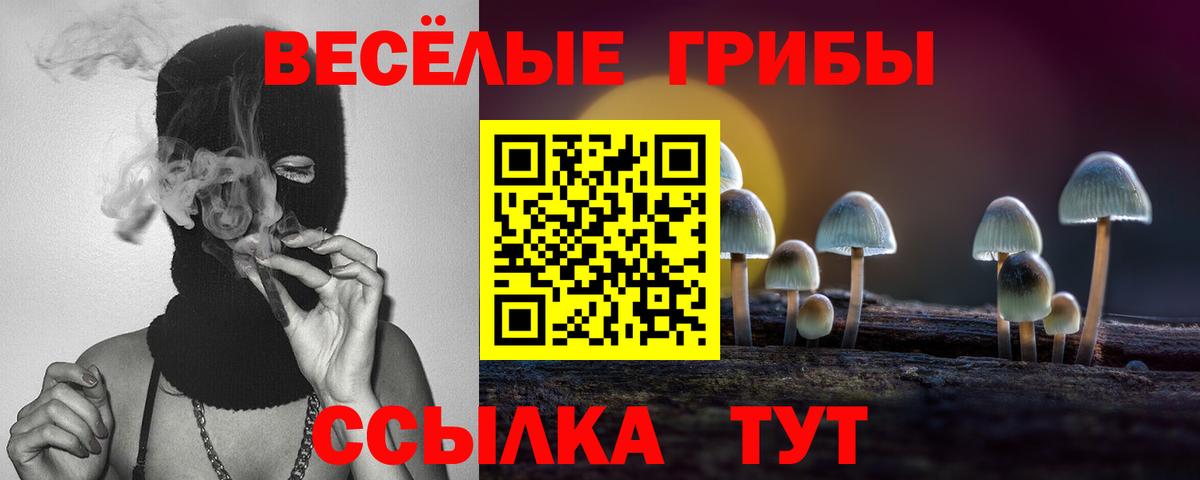 Галлюциногенные грибы Psilocybine cubensis  Псилоцибиновые грибы ЛСД  Вход с VPN  Долгопрудный 